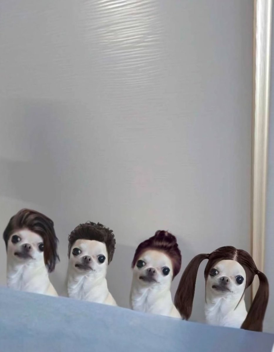 twaniimals's tweet photo. https://t.co/3HwQgV0hUV