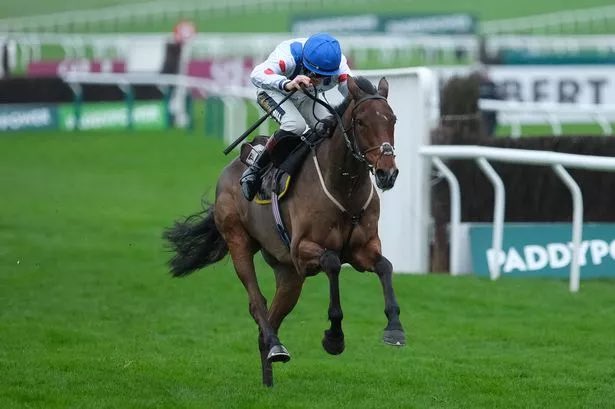 The Race Horse Guy tweet media