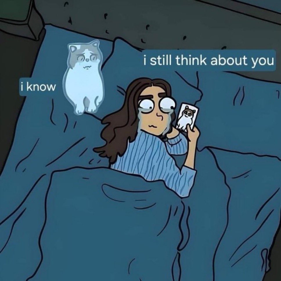 Punch Cat (@punchingcat) on Twitter photo 