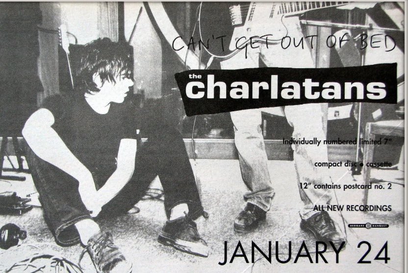 Tim Burgess tweet media