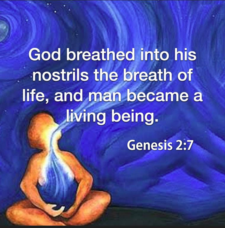RubeGolberg's tweet photo. @ArtCandee They defy the Gospel.. daily.  Attacking Church leaders..
Life begins at first breath. it's in the 1st book of the Bible.. hard to miss there Moses Mike.. @SpeakerJohnson  #Apostates #Budde https://t.co/OnDOA6nFSQ