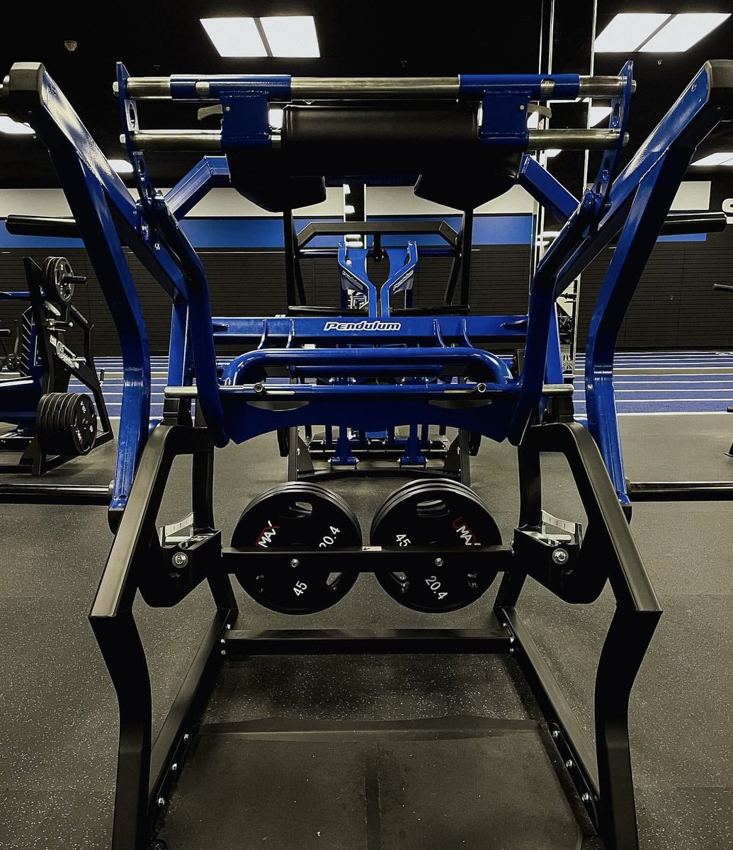 Pendulum Strength tweet media