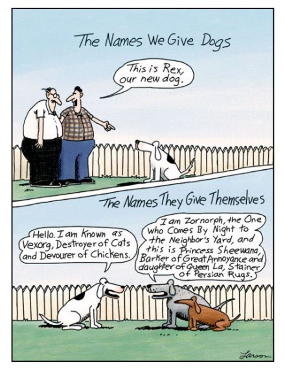 Mike Annable tweet media