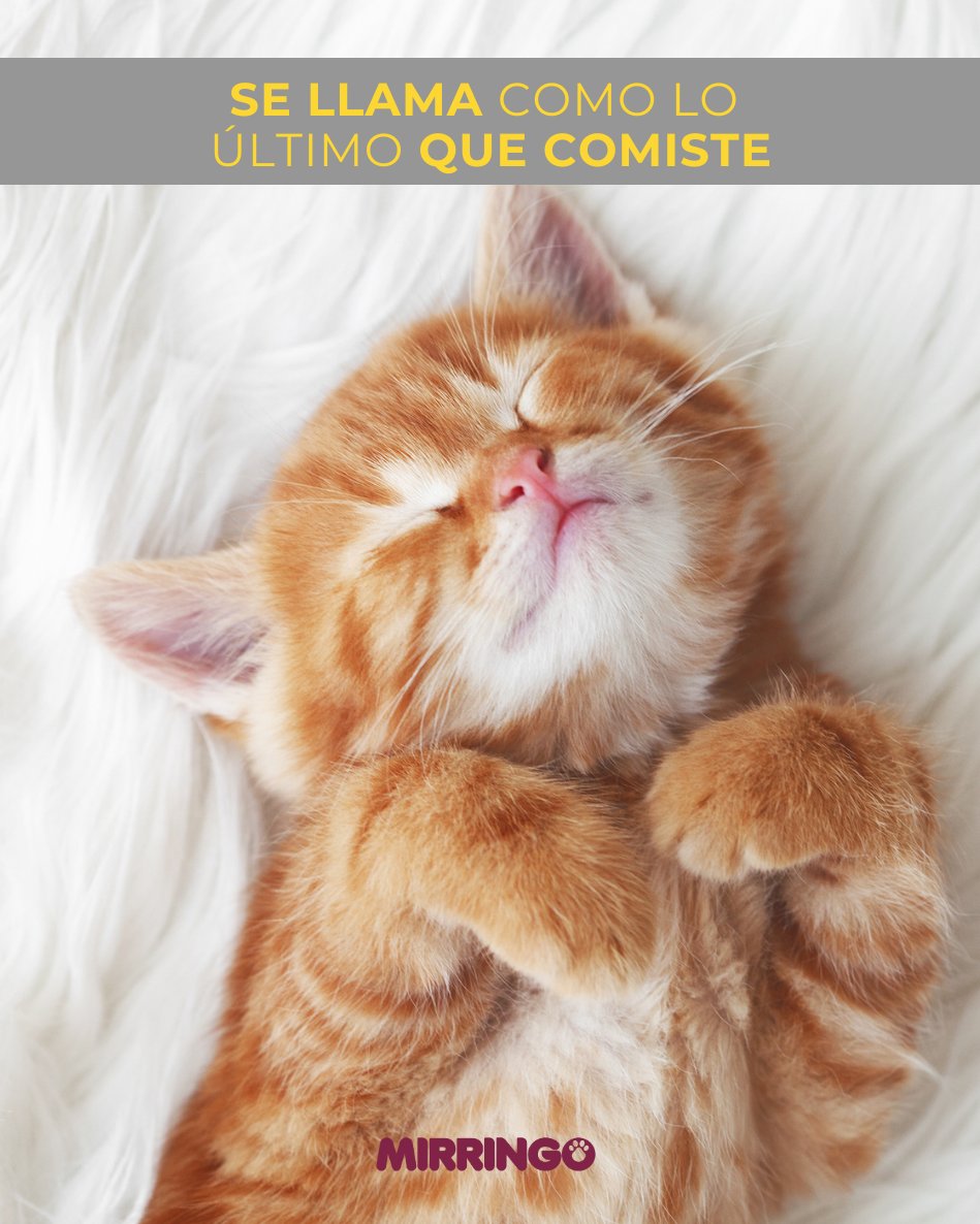 Efecto Mirringo tweet media