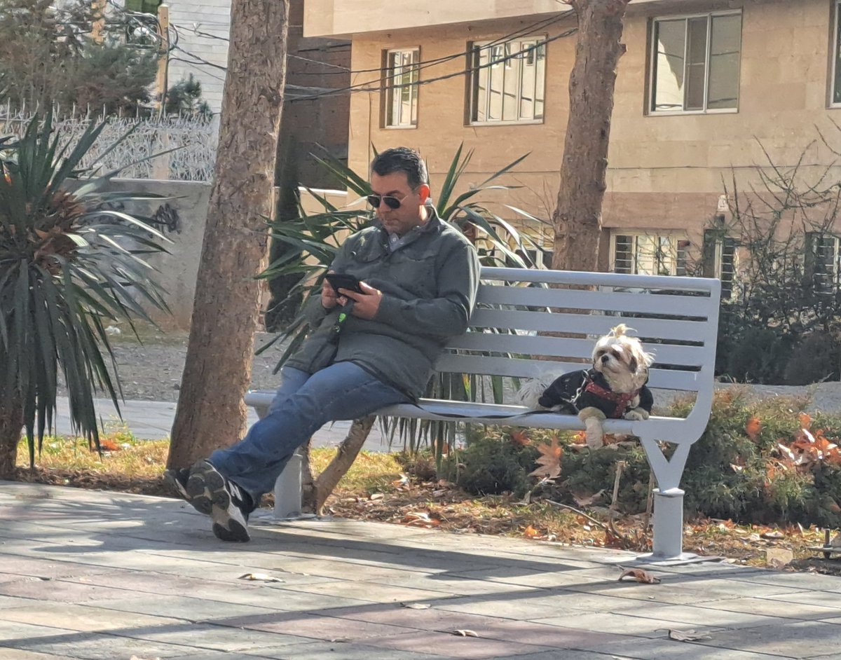 Mehdi tweet media