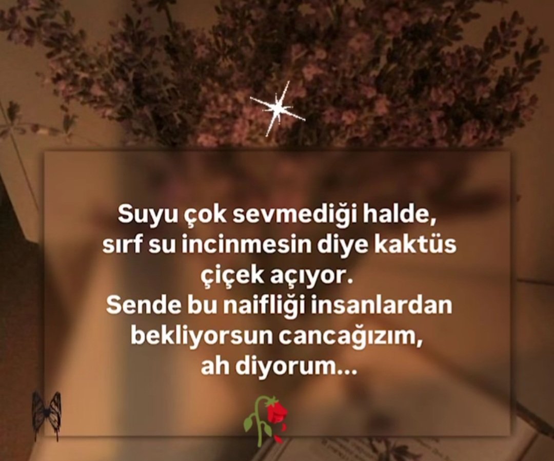 Sen gidersen çiçek açmaz 
Baharlarım 💙🥀 #GeceyeBirSöz