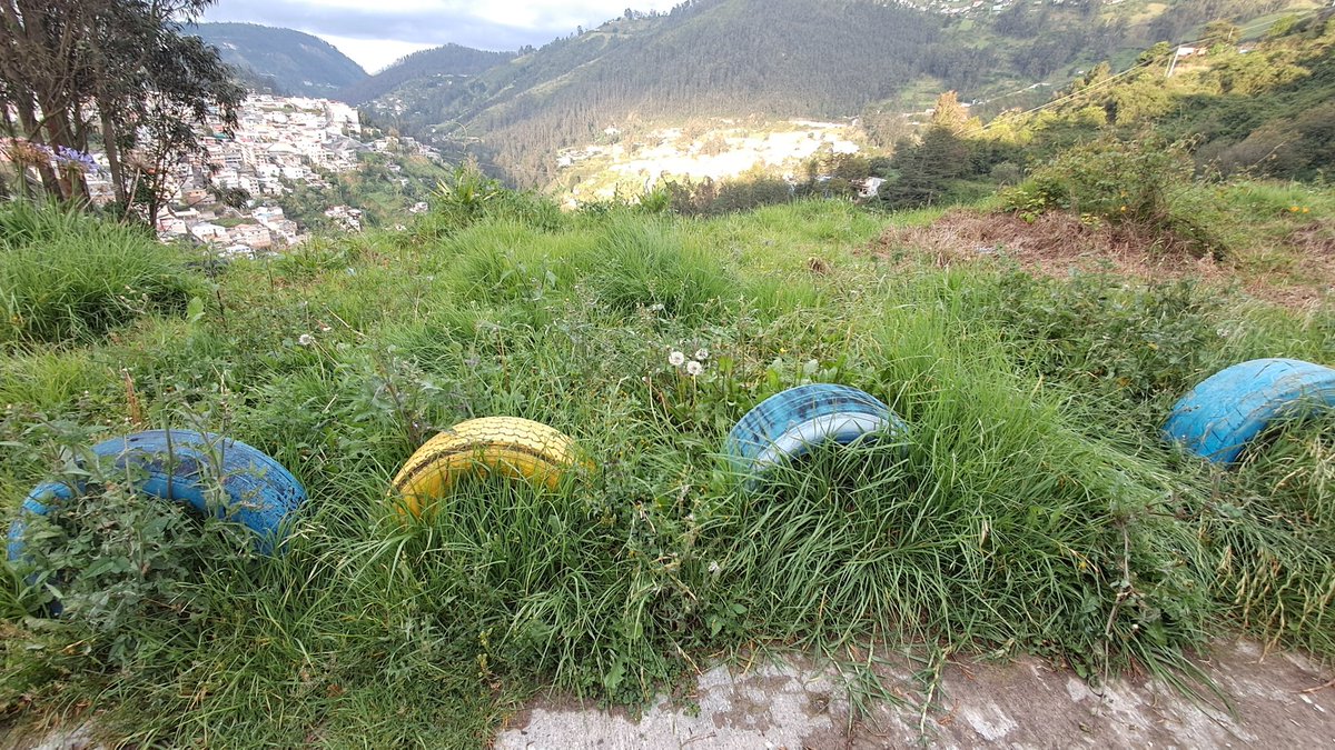 PJaramillo42's tweet photo. Favor @ZonalmSaenz su ayuda con la poda y mantenimiento de esta area verde @MunicipioQuito Muchas gracias https://t.co/VcU2xUcn8p https://t.co/2tpd3gZQFh