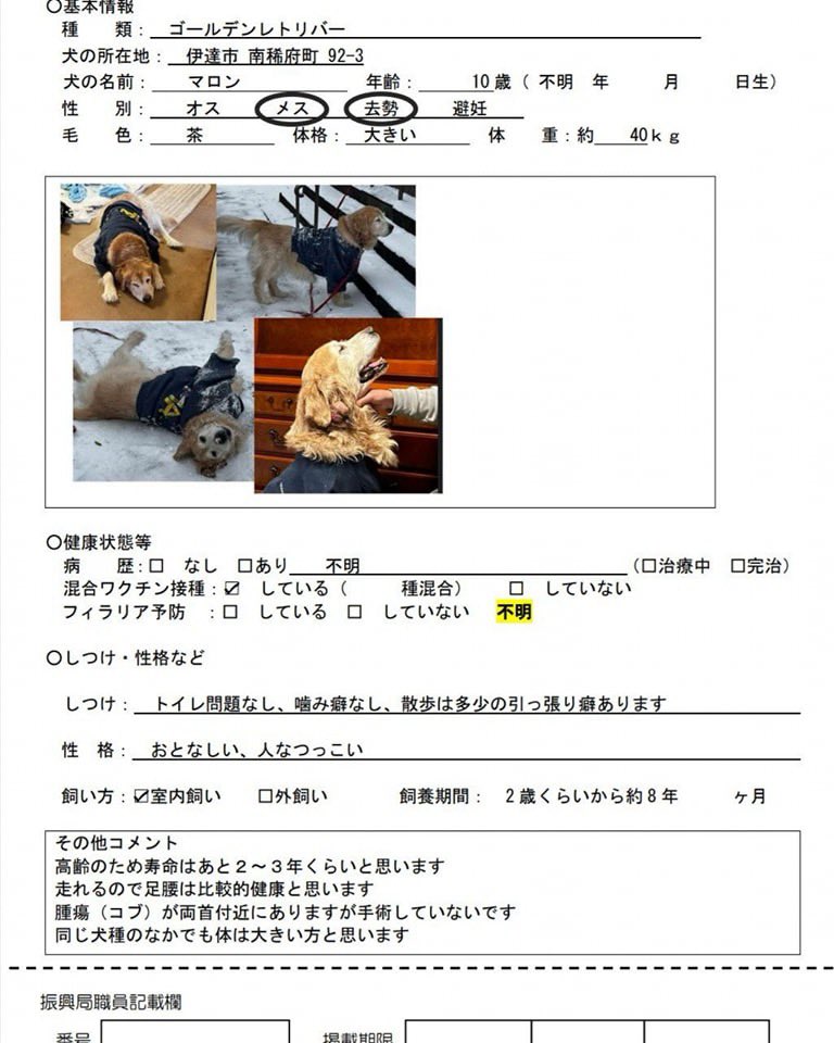 tier_tokachi's tweet photo. 【緊急拡散希望】

飼い主さんが亡くなり、胆振総合振興局の飼い主探しノートに掲載されている高齢のゴールデンレトリバーの女の子です。
残りの犬生をともに過ごしてくれる新しい飼い主さまが見つかりますように…
シェア拡散のご協力よろしくお願い致します。
※お問い合わせ先は次ポスト
↓ https://t.co/81MH4afFK9