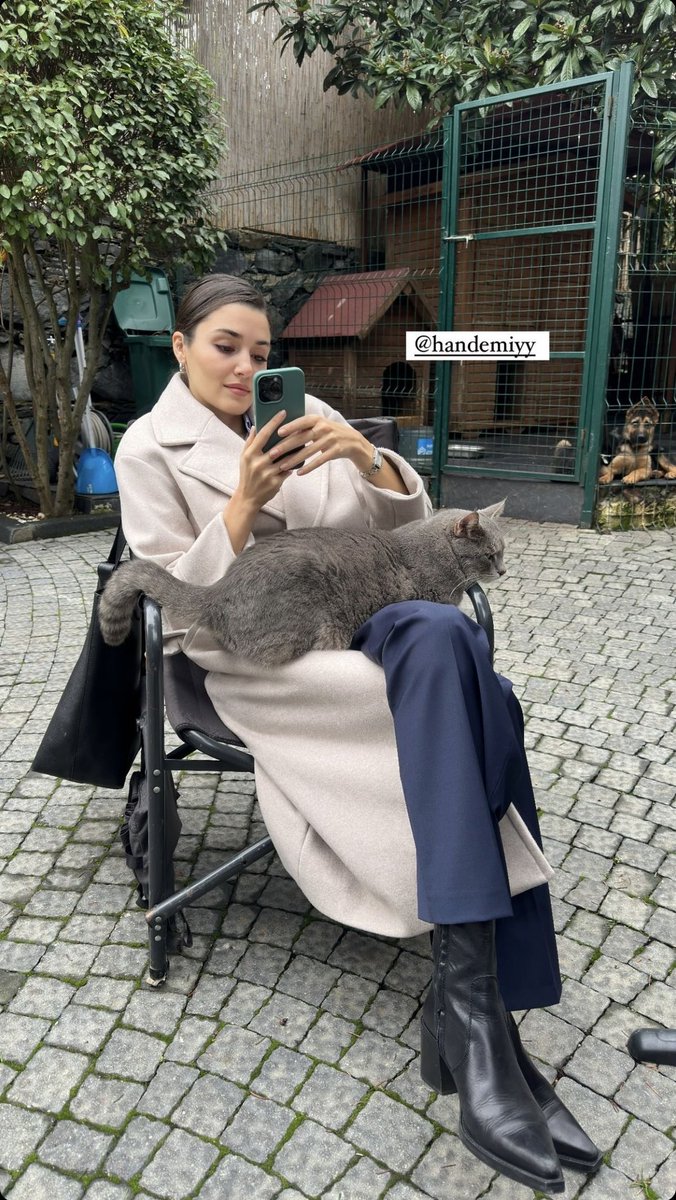 Emotional support kitty.