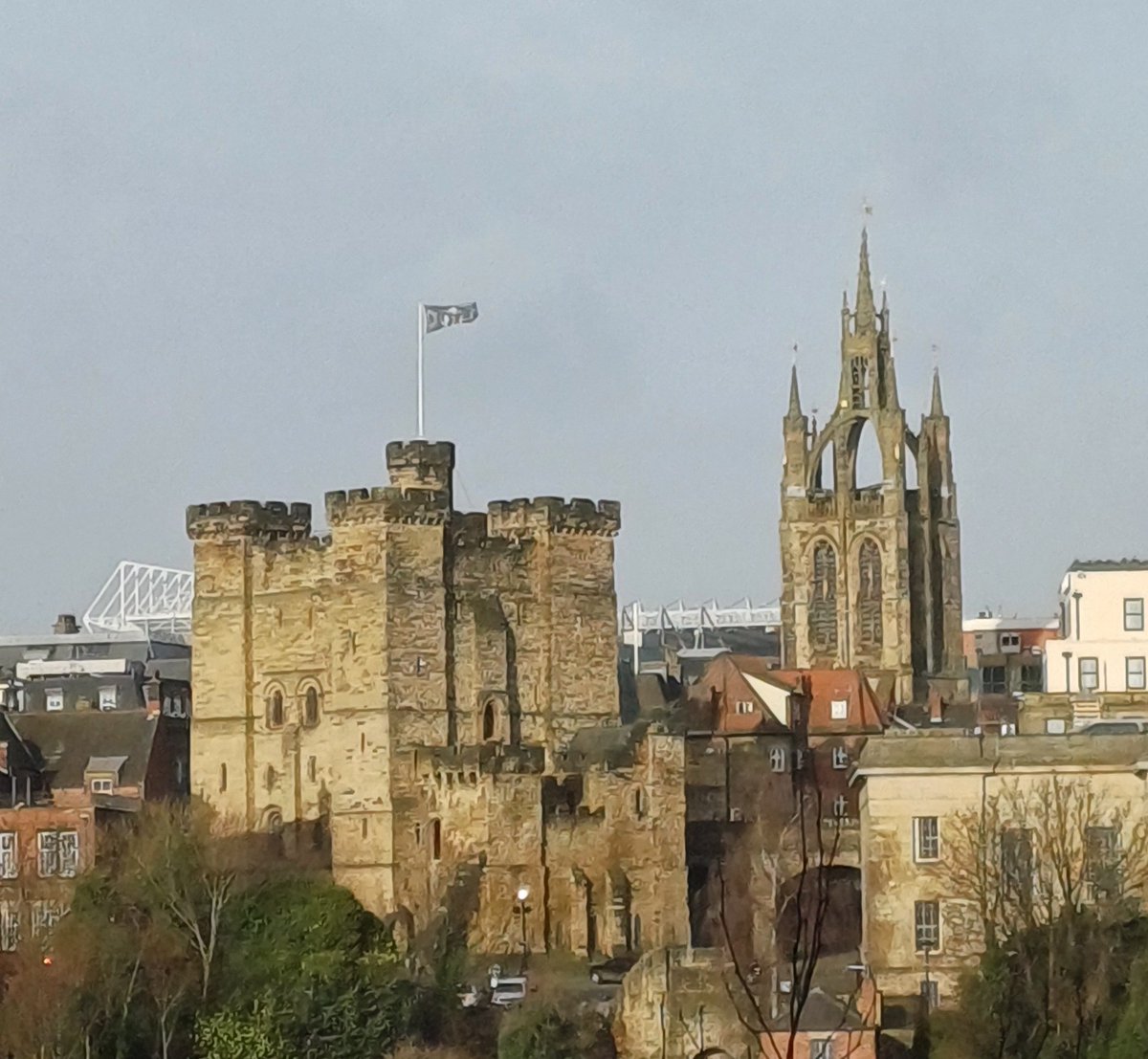 EamonFaulkner98's tweet image. Had a great few days in Newcastle for the BSHT and NVTH 2024. Thank you all for the interesting discussions and to Drs Sophie Featherby and Camille Ettallie for the opportunity and continued support.