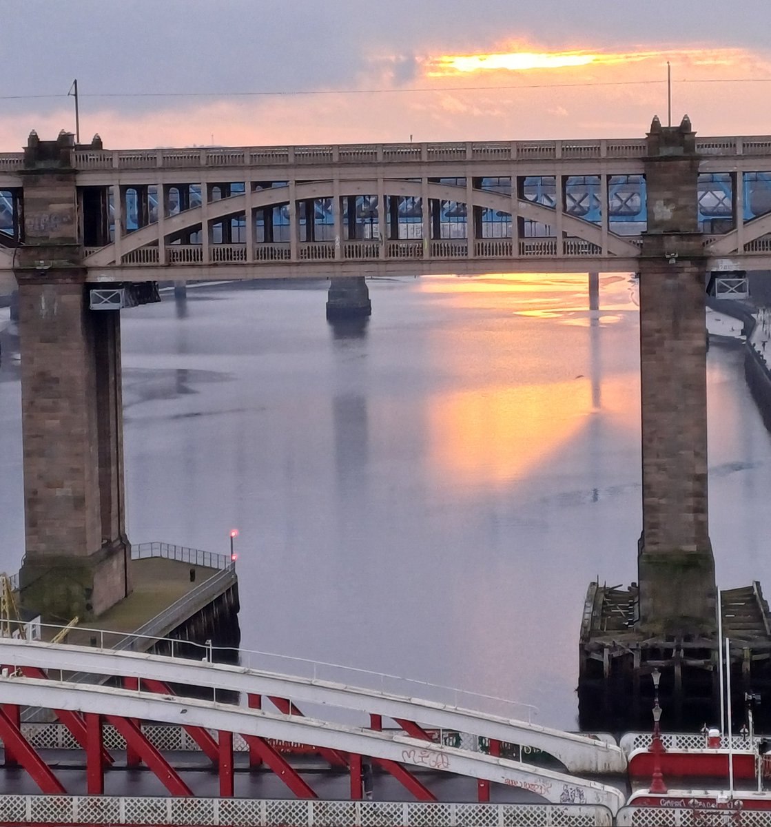 EamonFaulkner98's tweet image. Had a great few days in Newcastle for the BSHT and NVTH 2024. Thank you all for the interesting discussions and to Drs Sophie Featherby and Camille Ettallie for the opportunity and continued support.