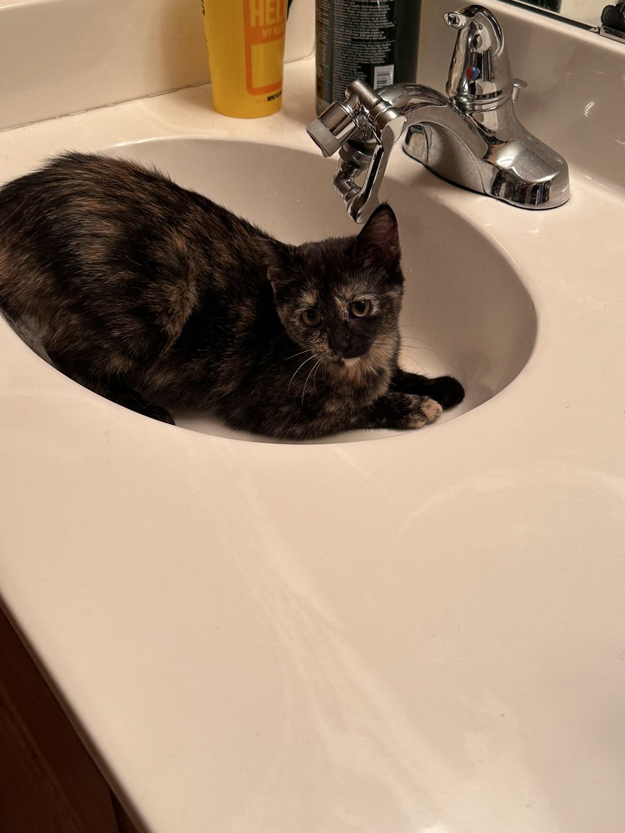 VirginiaMN97's tweet photo. @riggins7779 I think it is. All the cool cats are doing it. 😂 https://t.co/nAHWdwSY30