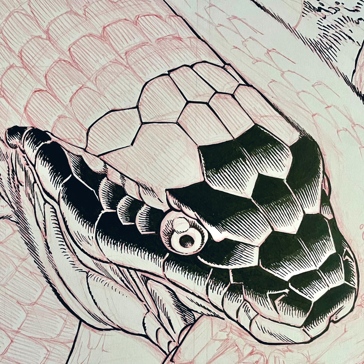 Gabriel Rodríguez (@gr_comics) on Twitter photo black scales
partial inks detail
from <a href="/boomstudios/">BOOM! Studios</a> #MouseGuard “Dawn of the Black Axe” miniseries by <a href="/mouseguard/">David Petersen</a> and yours truly
#makingcomics #process black scales
partial inks detail
from <a href="/boomstudios/">BOOM! Studios</a> #MouseGuard “Dawn of the Black Axe” miniseries by <a href="/mouseguard/">David Petersen</a> and yours truly
#makingcomics #process