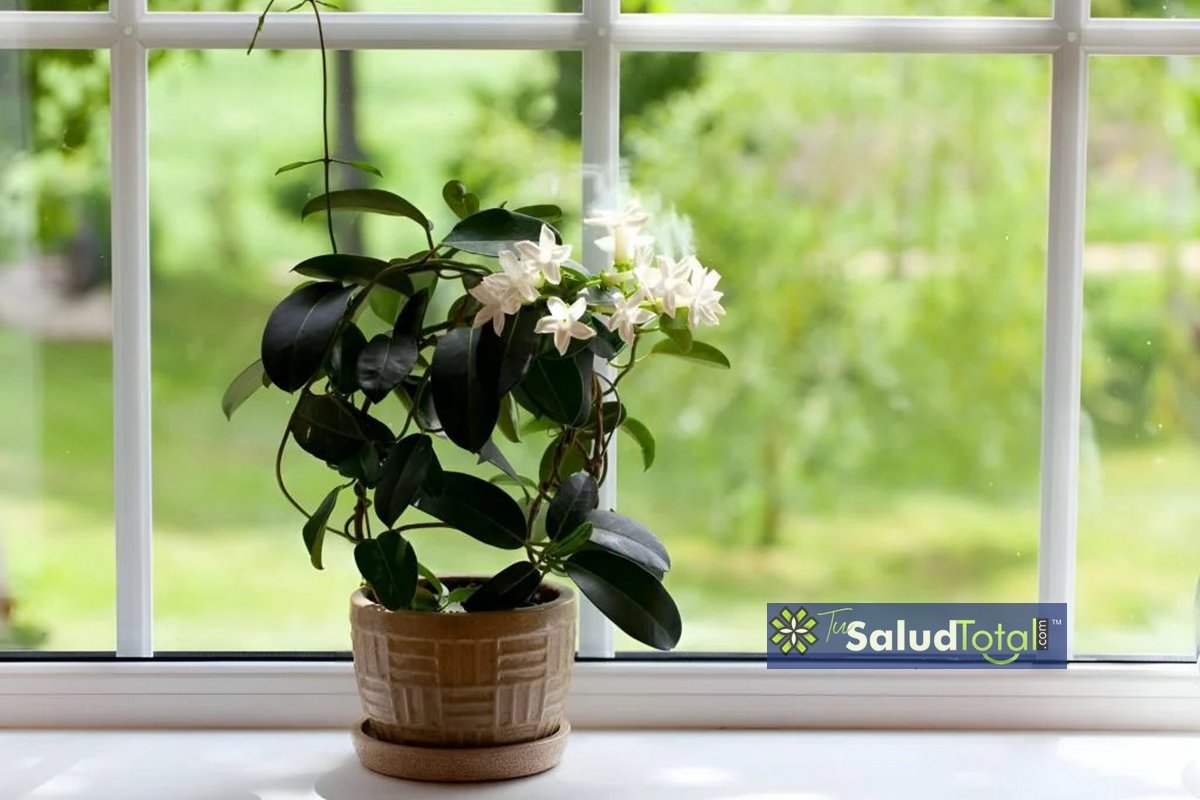 SaludTotal10's tweet photo. 🌙🌿 Transforma tus Noches con Remedios Caseros para Dormir Bien
🚨💤 Soluciones naturales para un sueño profundo 🌱✨ ¡Despídete del insomnio!
🌻🌠 ¡Dale clic para saber más! 
https://t.co/YfTwScnXKa

#SueñoReparador #RemediosCaserosParaDormir #SueñoReparador #DuermeProfundo https://t.co/qMWKHfGFj4