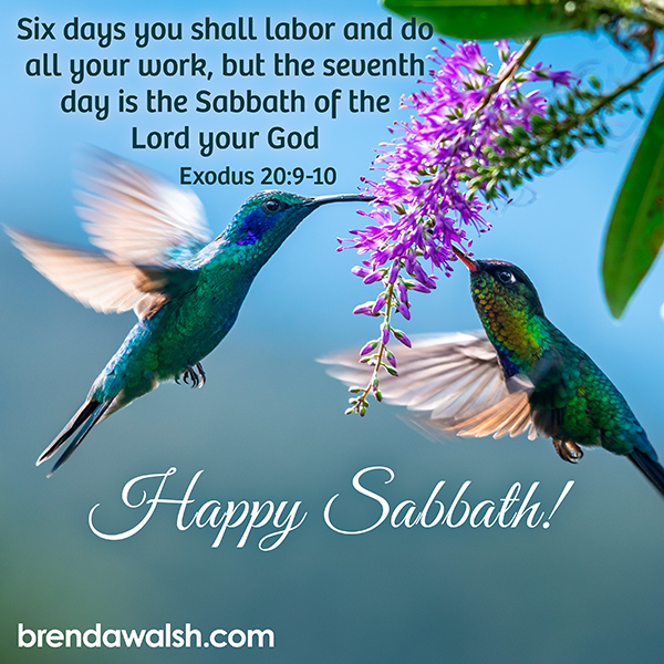 brendakwalsh's tweet photo. Happy Sabbath!
Exodus 20:9-10 – “Six days you shall labor and do all your work, but the seventh day is the Sabbath of the Lord your God.”

#happysabbath #sabbath #workhard #rest #restart https://t.co/633P0zuQa4