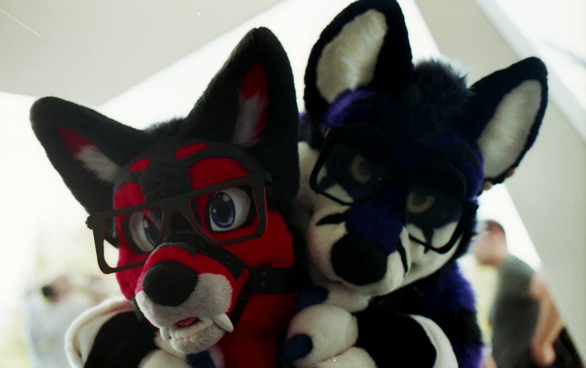 ElthoOwo's tweet photo. Caught a doggo :3 

🐶 @BusinessHoosk 
📸 @FoxWithAName 

#fursuit #FursuitFriday #furry https://t.co/CnBgdRhmNy