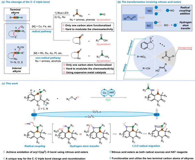 Carbon-carbon triple bond cleavage and reconstitution to achieve aryl amidation using nitrous acid esters nature.com/articles/s4146…