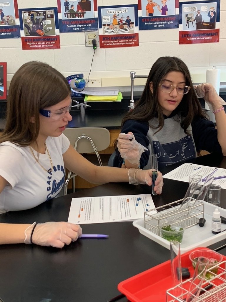 Mokena Jr. High tweet media