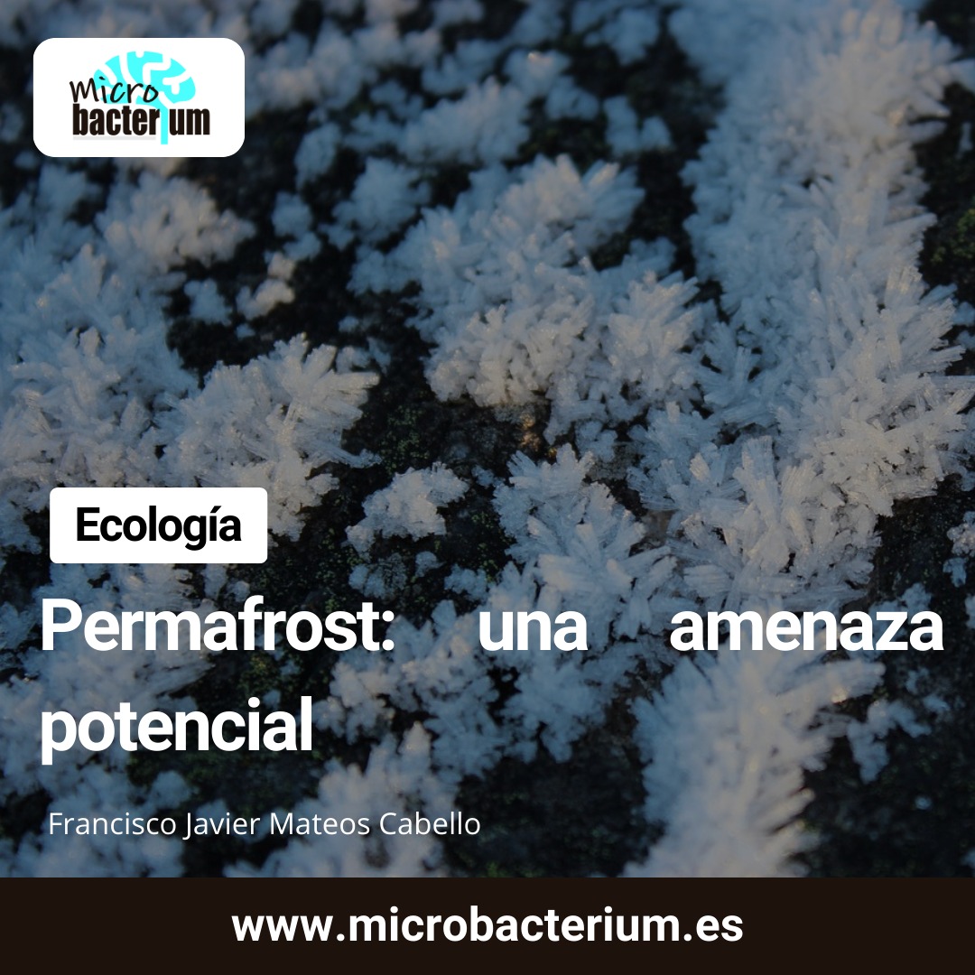 Cambio climático 🌩️ y calentamiento global 🌍 son procesos que afectan a todo el planeta. Y hay partes del planeta, desconocidas para la mayoría de nosotros, que sufren incluso sus efectos de una forma más intensa y silenciosa.

👀 Artículo completo 👉 microbacterium.es/permafrost-una…