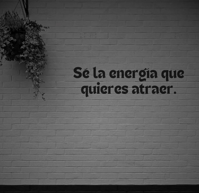Alex_Inspira's tweet photo. 16. https://t.co/yRI8wyRweB