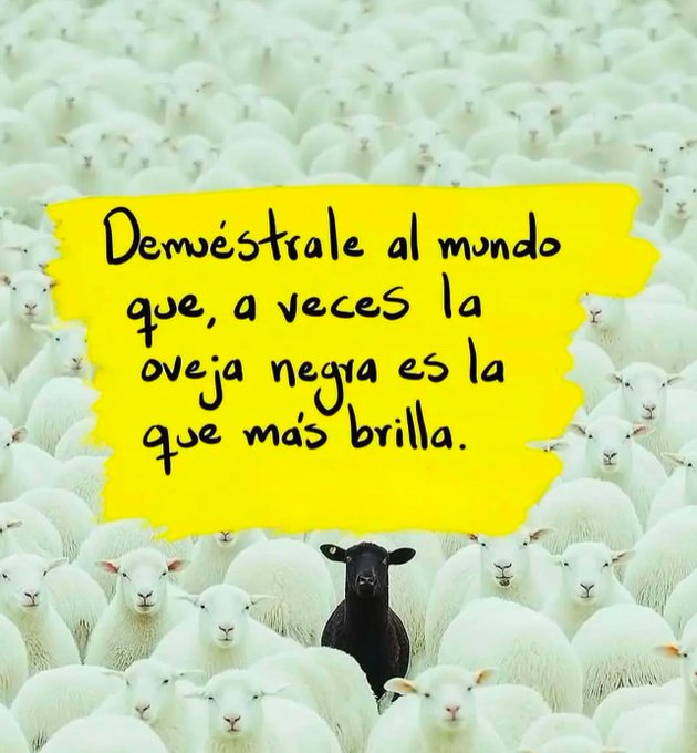 Alex_Inspira's tweet photo. 19. https://t.co/I2XOHuwLL5
