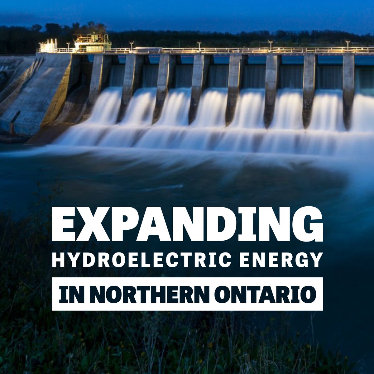 Honourable Kevin Holland tweet media