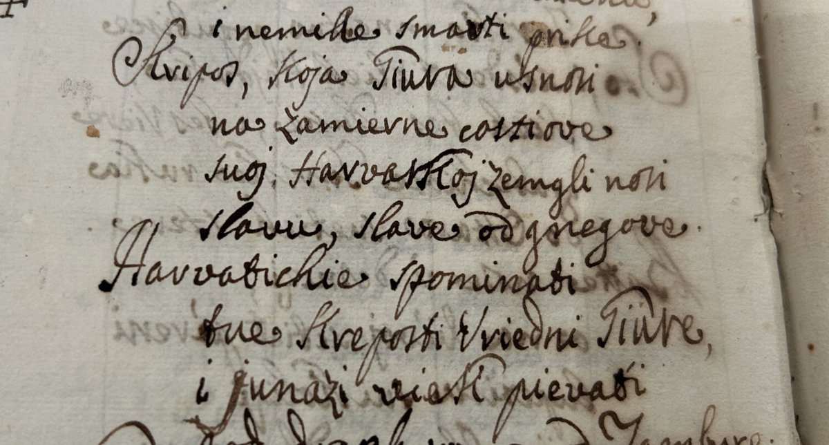 History of Croats tweet media