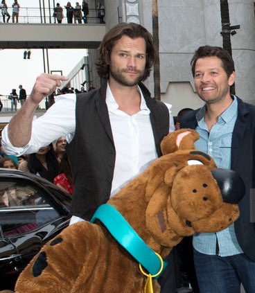 Sammy050283's tweet photo. them
#mishalecki https://t.co/38plmvkAx7