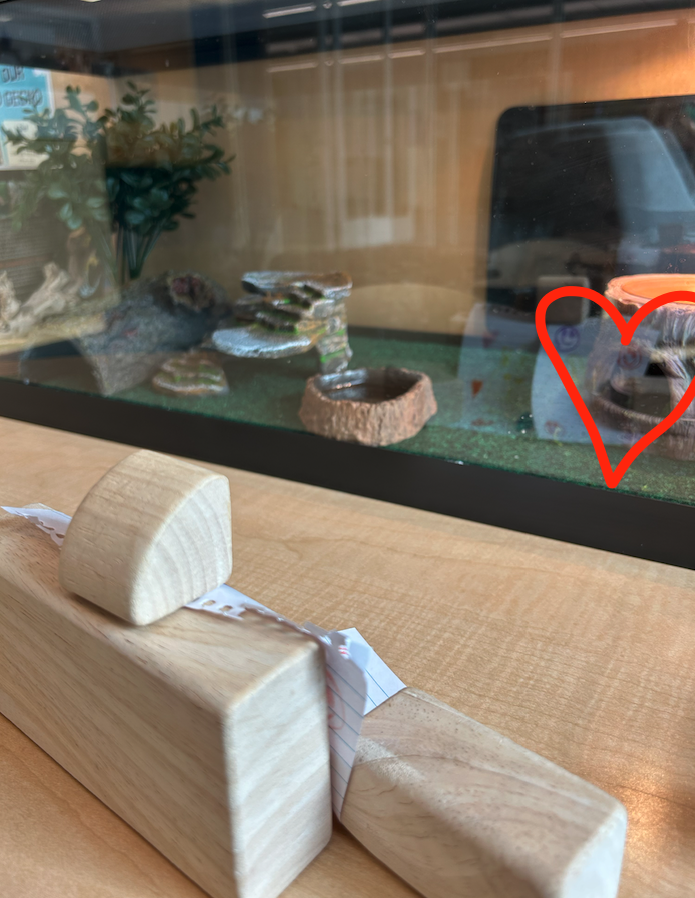 We have the sweetest visitors! One of today's visitors installed an art gallery wall for Betsy to enjoy 🦎💚💙👩‍🎨 <a href="/LifeatBlake/">The Blake School</a>