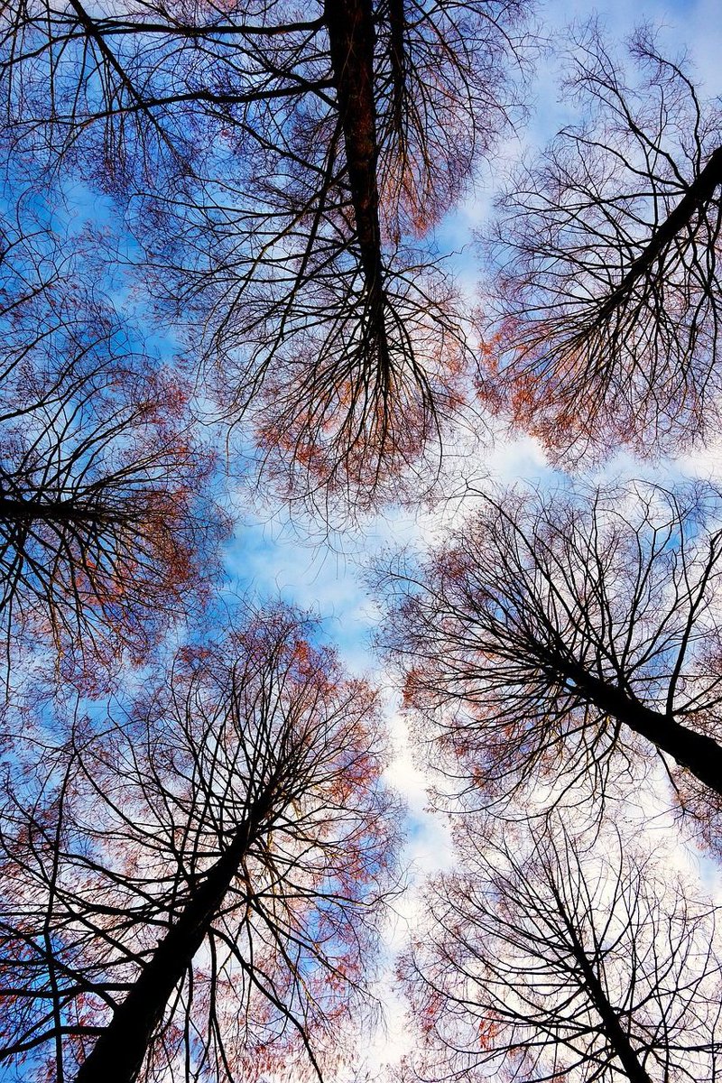 Arnhems_Peil's tweet photo. 🌳 Met nog 10 dagen te gaan geven we je vandaag reden 13 om samen met ons het bos op de Hilkensberg te redden. Doneer en lees meer: https://t.co/2DwkDsePHc ❤️ Je helpt ons ook door dit bericht te delen ❤️
💚 Reden nummer 13: https://t.co/SQwfo989Cy
#RedHetBos #StopDeJacht https://t.co/XOyXy28NJX