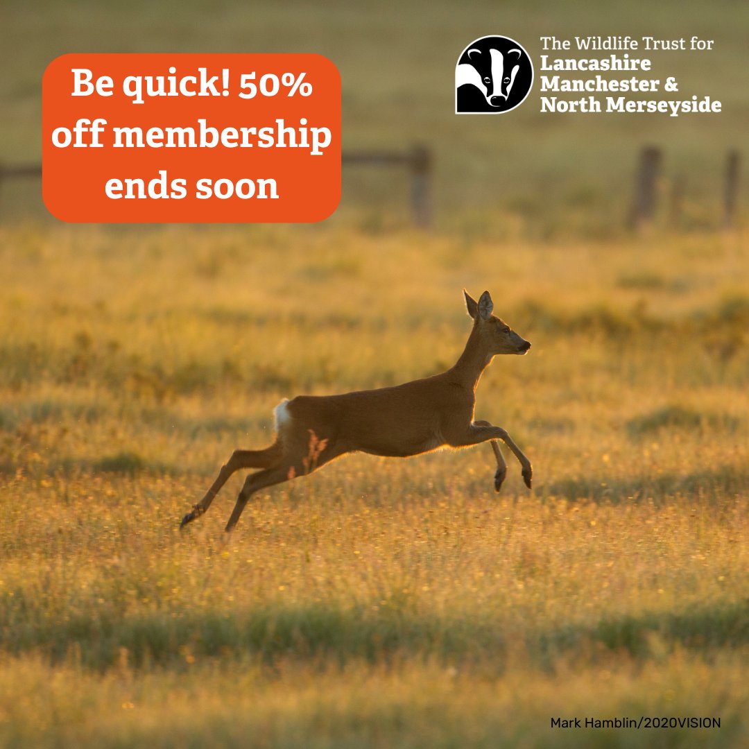 Hurry - there's only one week left to claim your half price membership! 

Join today from just £2 a month and play your part in our efforts to protect and restore nature across Lancashire, Manchester and North Merseyside. 👉 ow.ly/WnQ350UMCF9