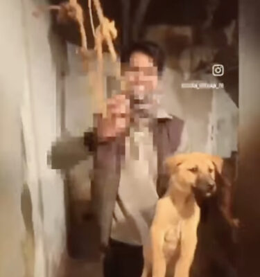 minpin78's tweet image. #INDIA again! Although this A-hole didn't see this ordeal through, he should be sentenced for causing #unnecessary #trauma to this poor #Puppy. Please Sign: #Justice for #Hanged #Puppy for #MediaFame 🐕 animalpetitions.org/1340369/justic…