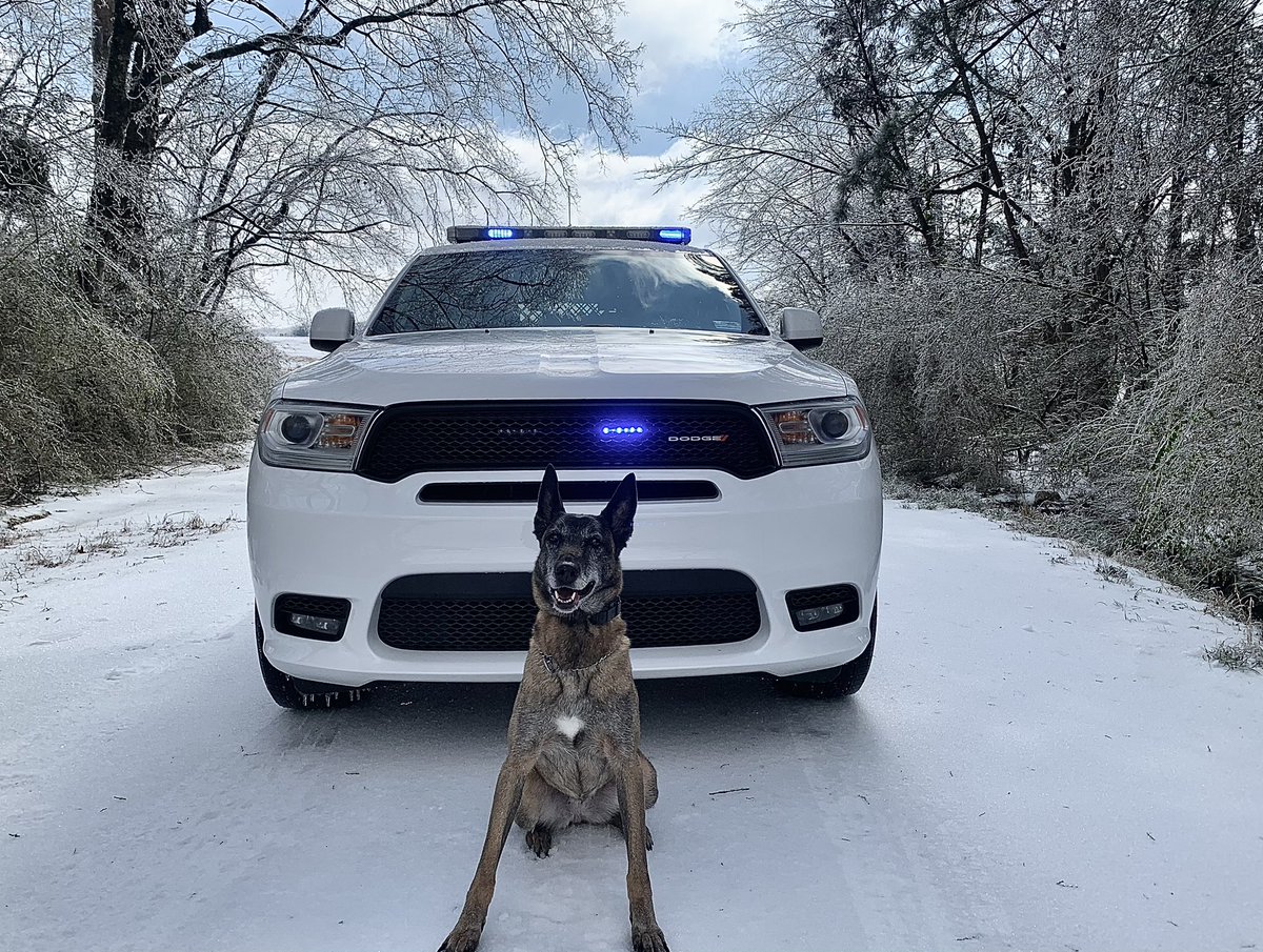 MSU Police tweet media