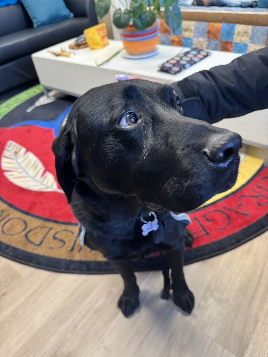 Bunsen, Beaker, Bernoulli & Brix tweet media