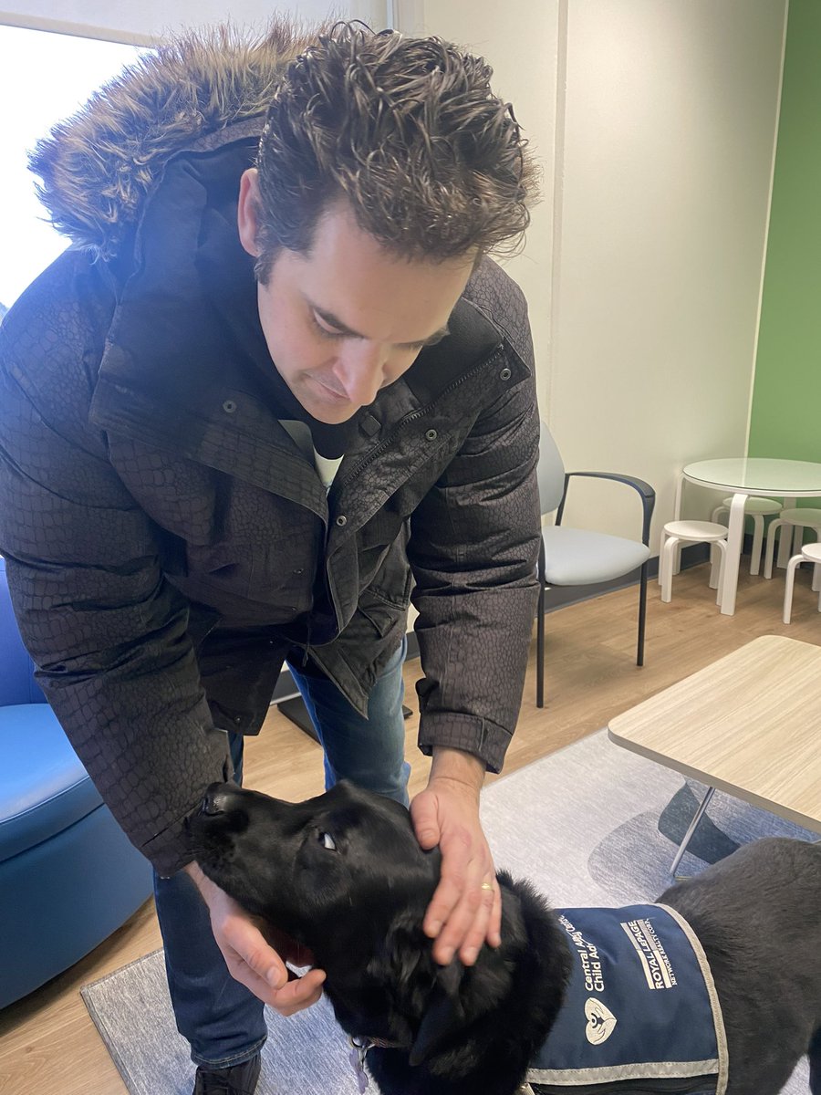 Bunsen, Beaker, Bernoulli & Brix tweet media