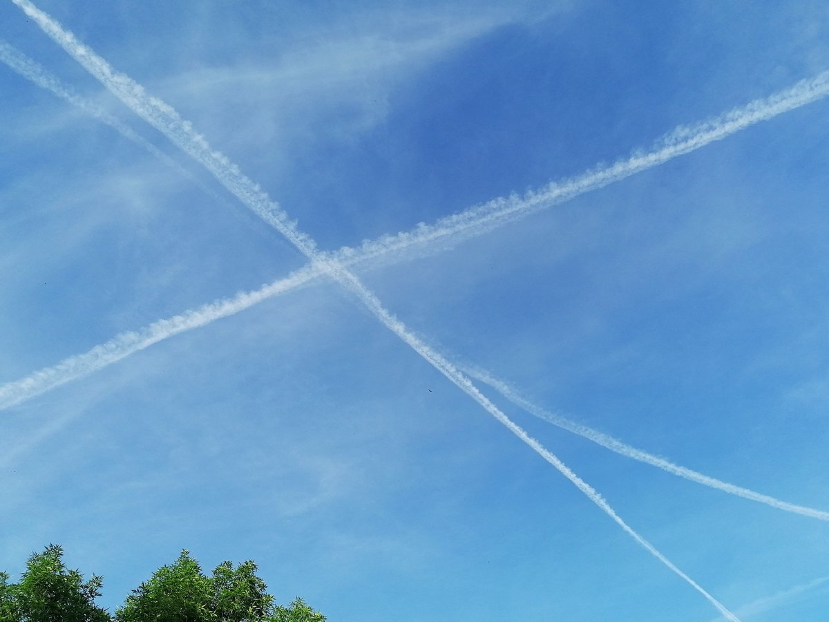 Nacho Pardinilla 🌏 tweet media