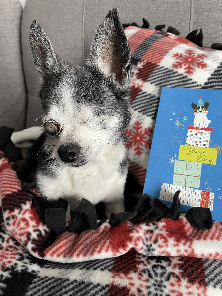 Mail Call📬
Thank you so <a href="/mommasboymushu/">Angel Mushu😇🌈, Zinny🖤, Winny💓</a> for the wonderful Birthday Gift ❤️ it will definitely keep me warm on these cold days!