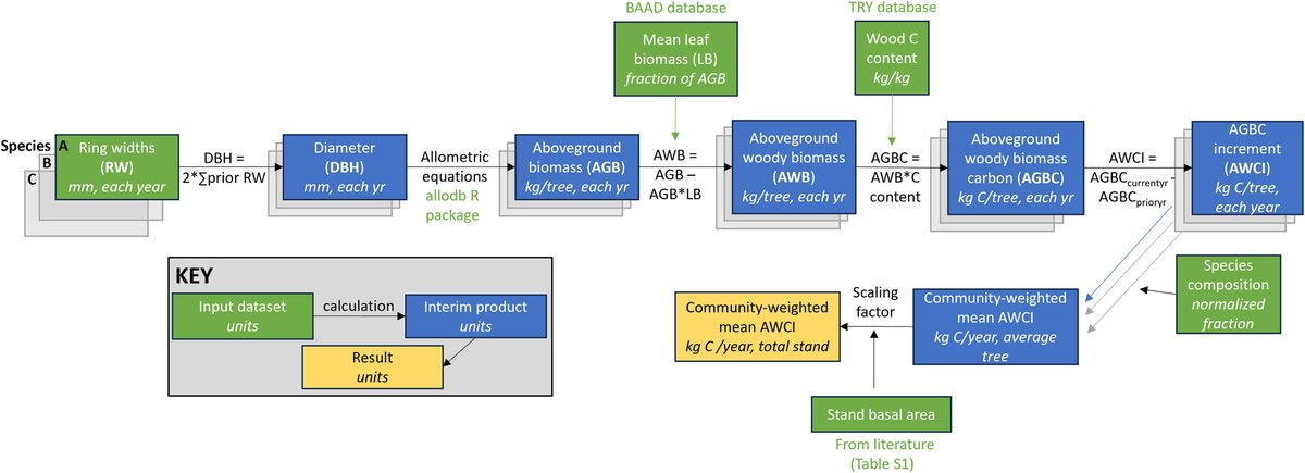 Allocation of GPP to aboveground woody tree growth

Kannanberg et al.

📖 nph.onlinelibrary.wiley.com/share/2EENXM7M…