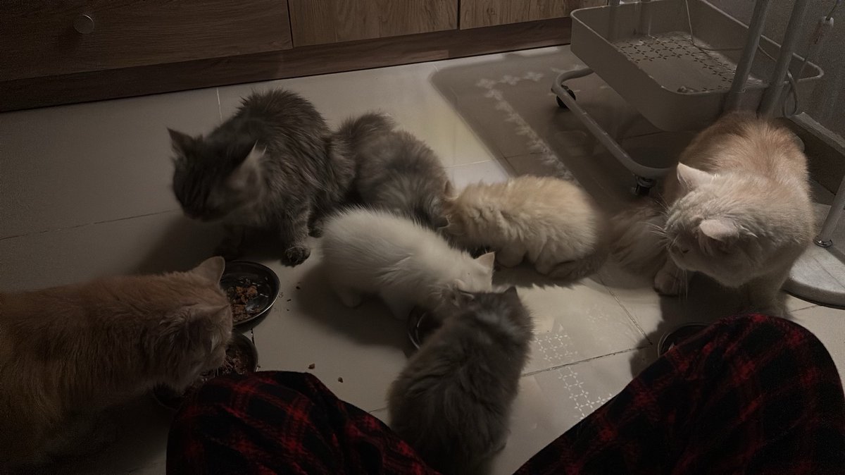 M (@itsmyyaan) on Twitter photo 