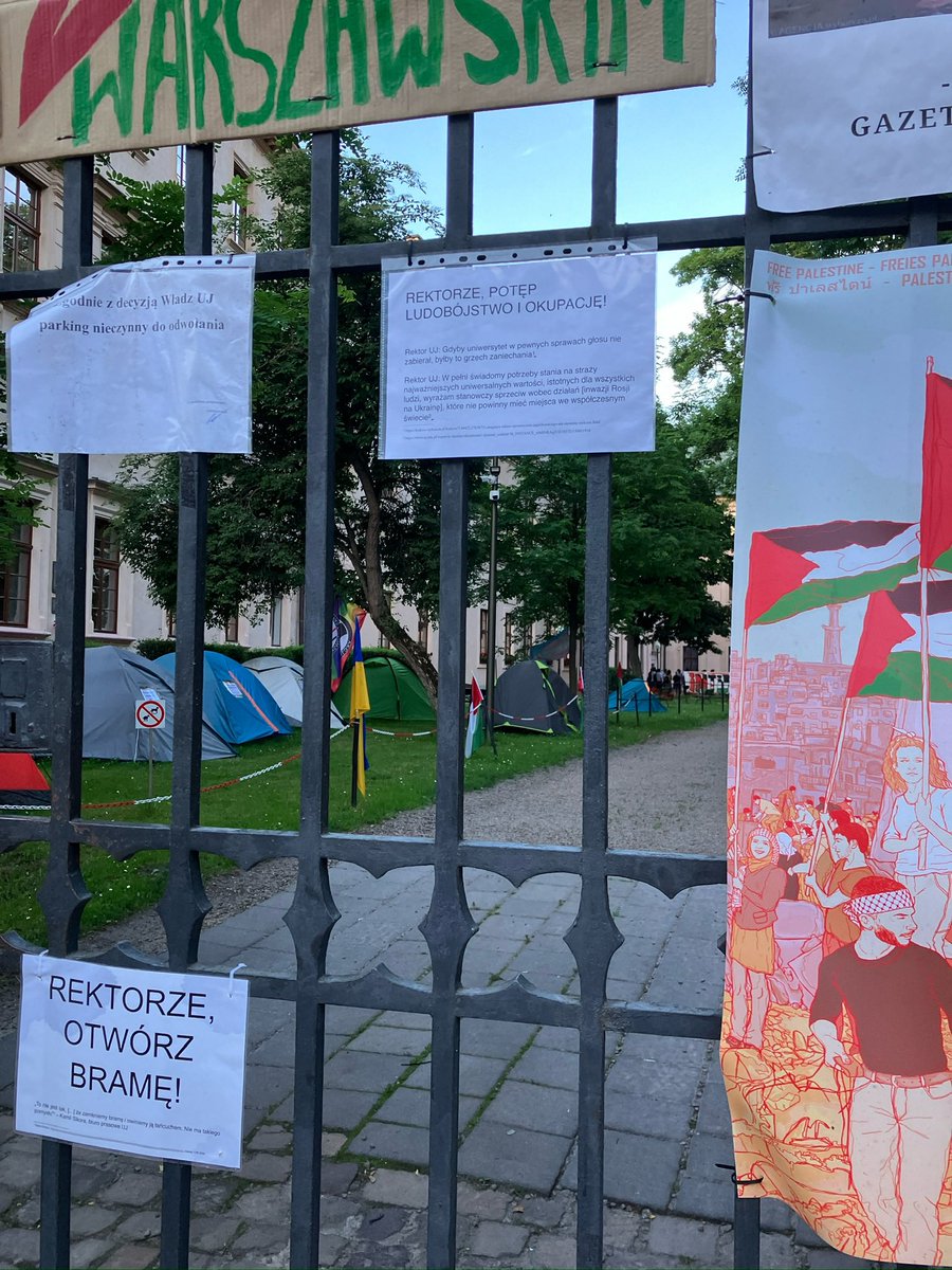 Кингста tweet media