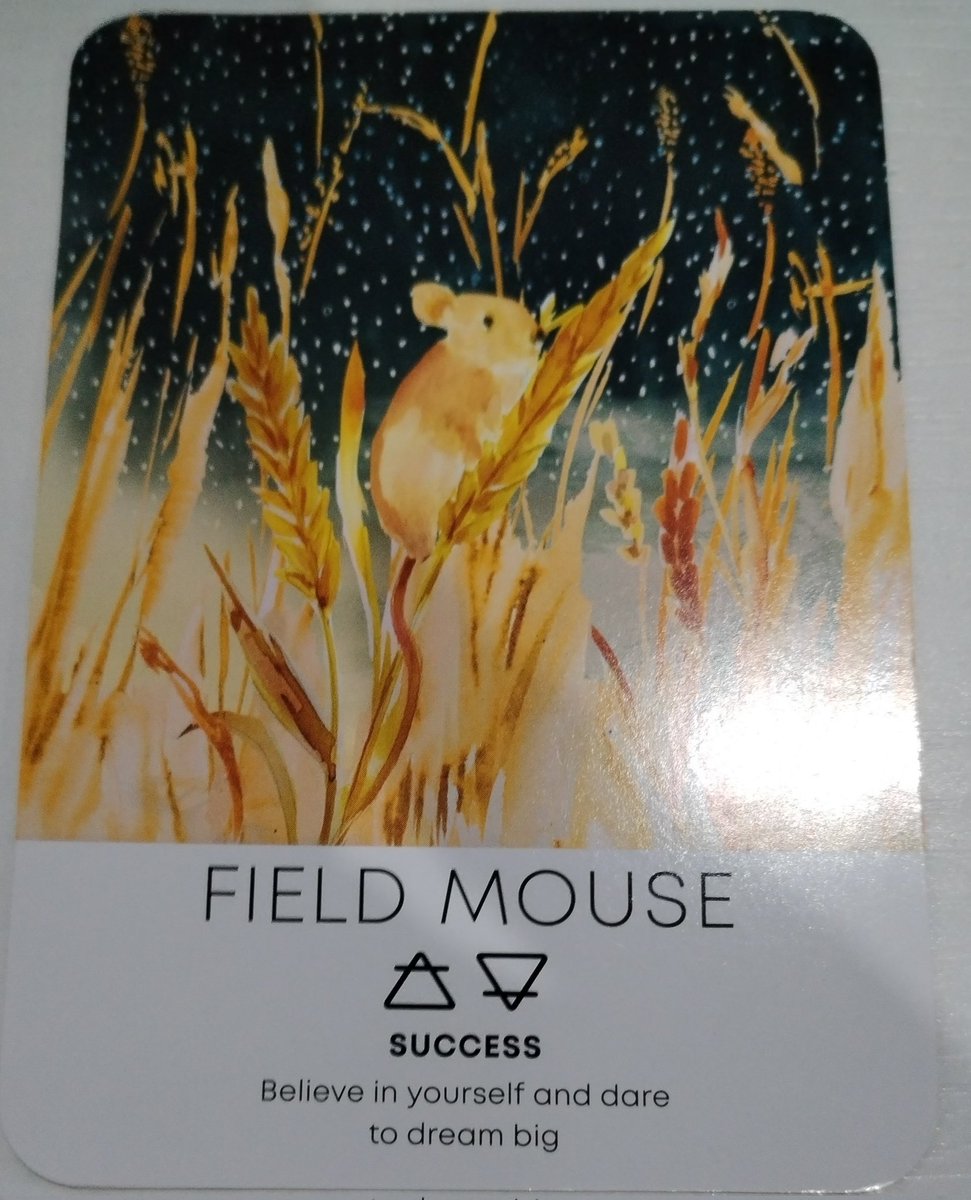 didsastrotarot's tweet image. #oracleoftheday 💫