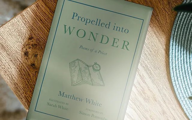 Thankful to have such lovely &amp; generous reviews of my debut #poetry collection in the excellent <a href="/Fare_Fwd/">Fare Forward</a> journal &amp; Radix Magazine respectively

Indebted to <a href="/PeterLillyPoems/">Peter Lilly Poetry</a> &amp; Sara Parsons for their kind words 🥹❤️

Links to both are in the piece below:

idleandblessed.substack.com/p/the-reviews-…
