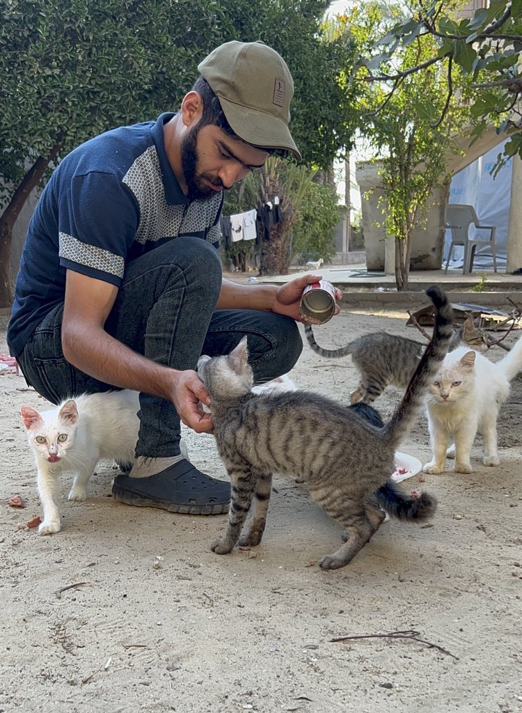 RescueCare's tweet photo. 😿🫂🙏🙏🆘🆘🆘🐾🆘🫂🫶🏻🌸
PayPal: https://t.co/bUftOnU1WY
GFM: https://t.co/KDYiZtL9x2 https://t.co/3e78kqRkjd