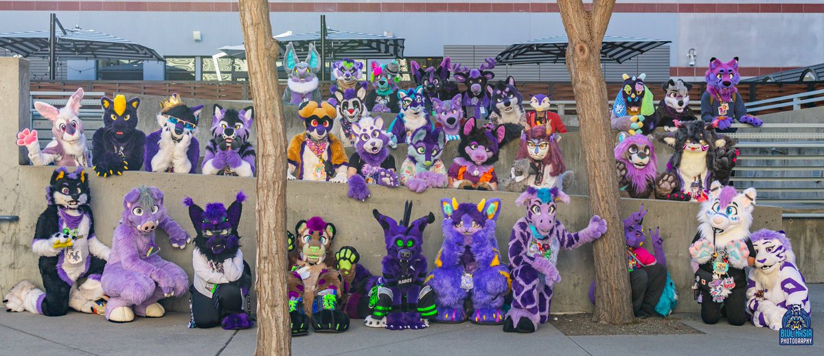 Zarafagiraffe's tweet photo. Here it is! The #PurplePic from @furcon / #FC2025! Big thanks to all you beautiful purple furs who showed up, and even bigger thanks to @Bluehasia who set up and took the pic! https://t.co/nxY5eAEDLa