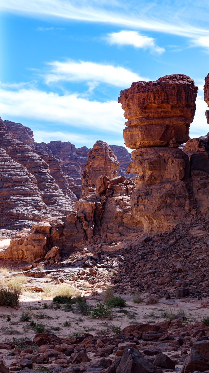 akr_tkn's tweet photo. Algerian Sahara, pure beauty. https://t.co/pSduniKRPD