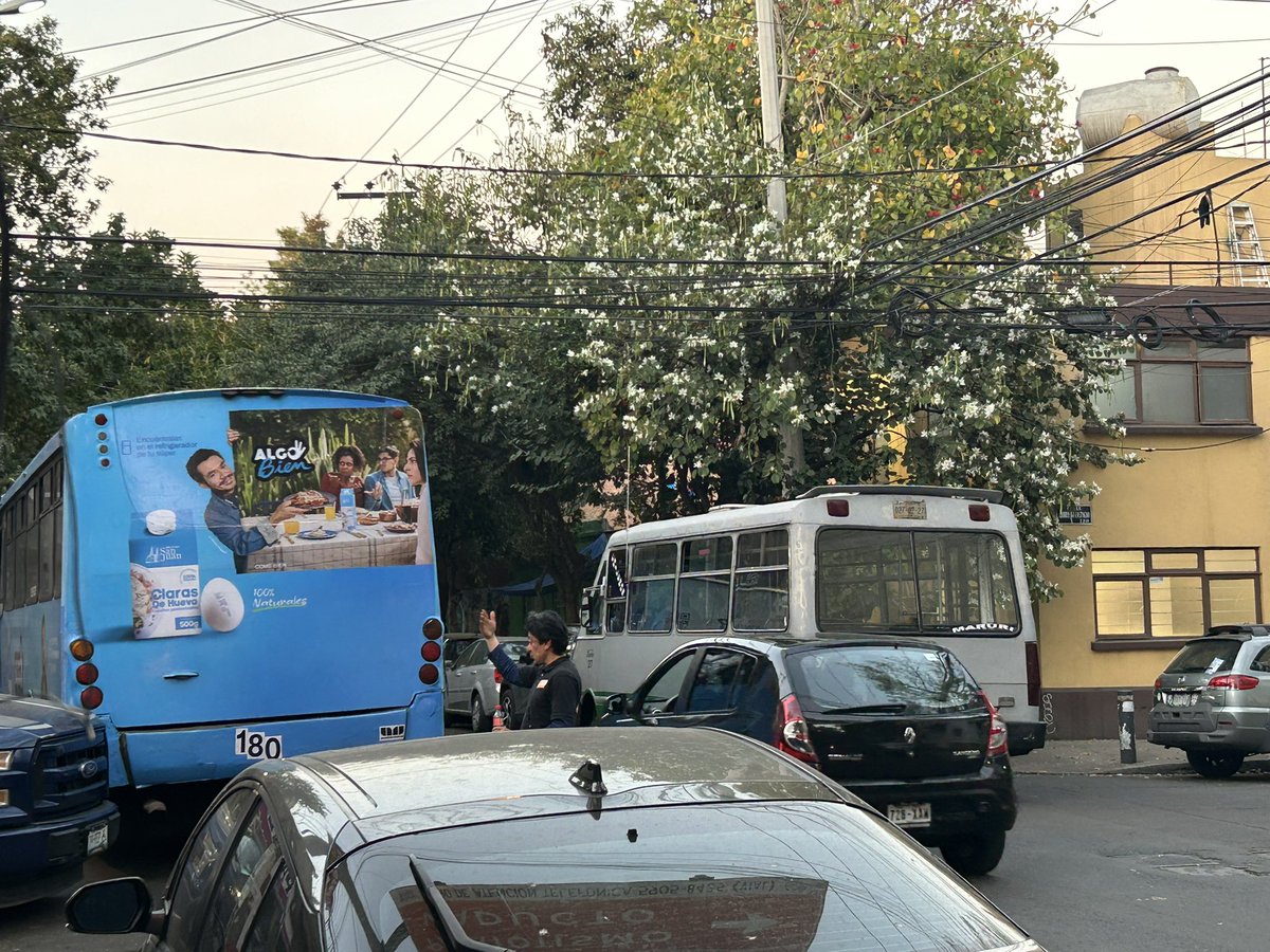 dorrmida's tweet photo. En Leonardo Da Vinci, Nonoalco, CDMX los camiones hacen lo que quieren… tráfico, ruido, inseguridad…@LaSEMOVI @VigimoviCDMX @inveacdmx @UCS_GCDMX @AccionesBJ @MixcoacUnidos siempre lo mismo… día, tarde y noche… https://t.co/diQmN9kCai