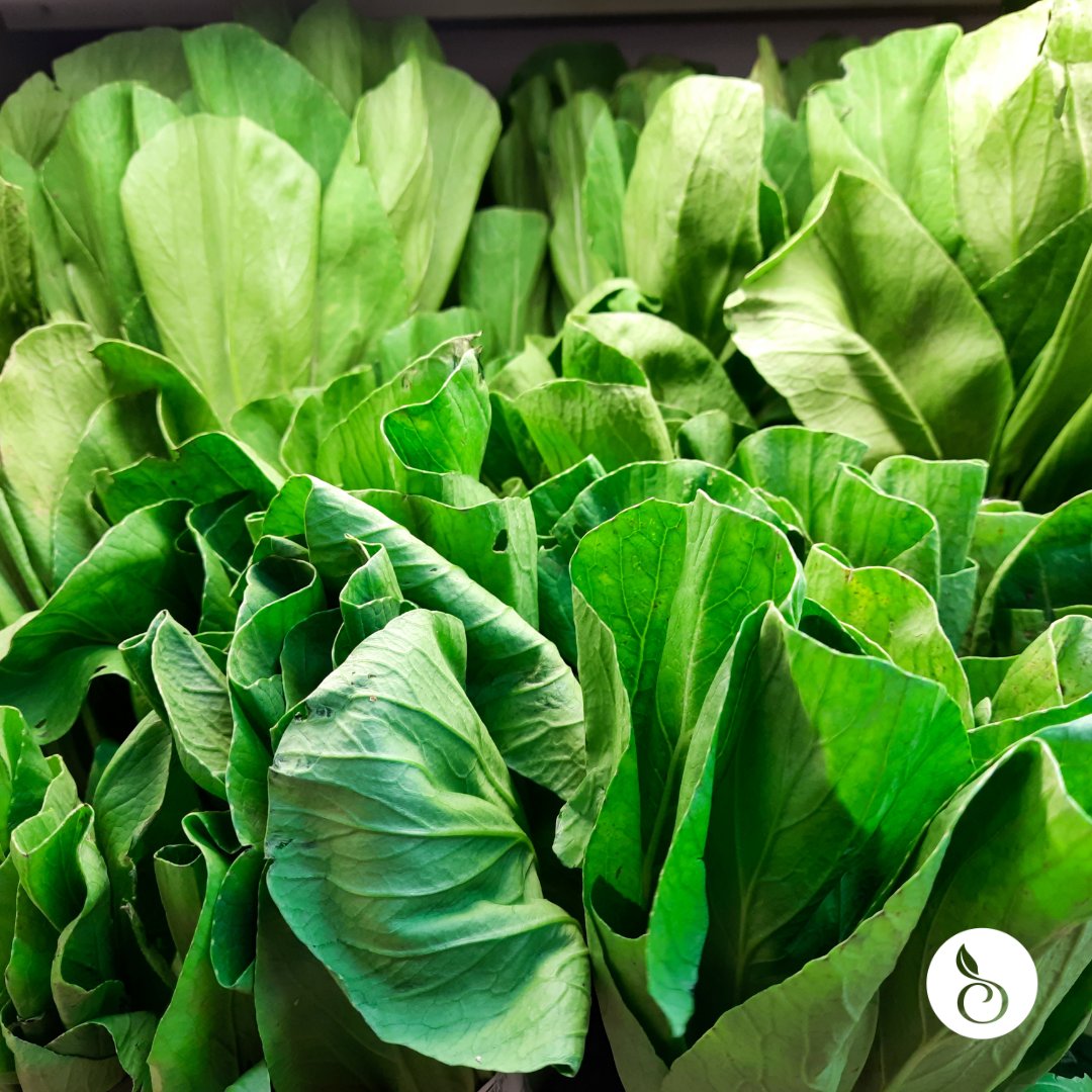 Boost your meals with a healthy dose of antioxidants! 🥗 Choose organic greens for a fresher, more nutritious plate. Learn more about organic science and facts at organic-center.org #OrganicGreens #HealthyLiving #Antioxidants #OrganicProduce