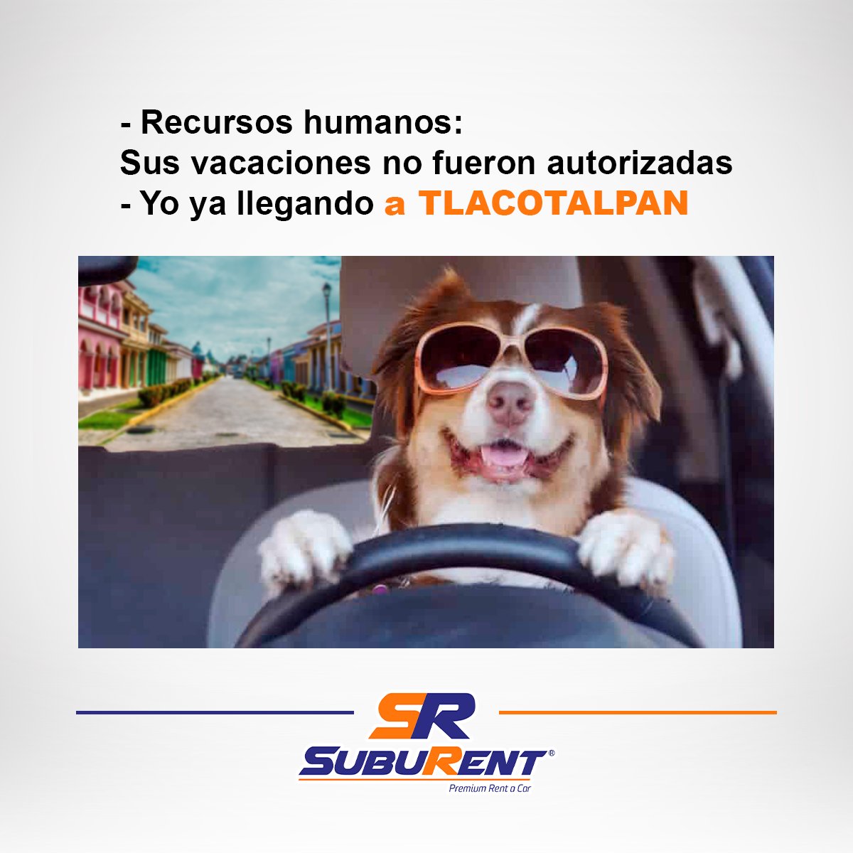SUBURent's tweet photo. Yo ya llegando a #Tlacotalpan como si nada 🚗😎. ¡Renta un auto o camioneta con #SubuRent y viaja a tu manera!
.
¡𝗥𝗘𝗦𝗘𝗥𝗩𝗔 𝗬𝗔!
🌐 https://t.co/iPH9g3HSKO
📲 229 951 2166 https://t.co/ZjrEfwsouS