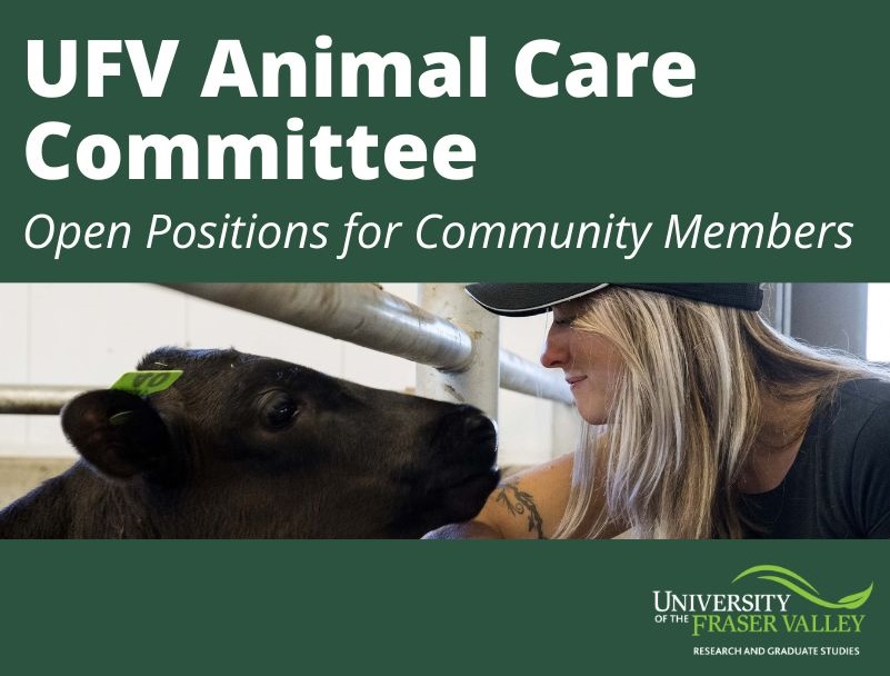 UFVresearch's tweet photo. UFV’s Animal Care Committee is seeking applicants from the general public to fill two vacancies to serve as a community member. Deadline to apply is February 3, 2025, but positions will remain open until filled.

Details: https://t.co/PKCxcXwikq

@FVCurrent @BlackPressMedia https://t.co/qbxEIze2YJ