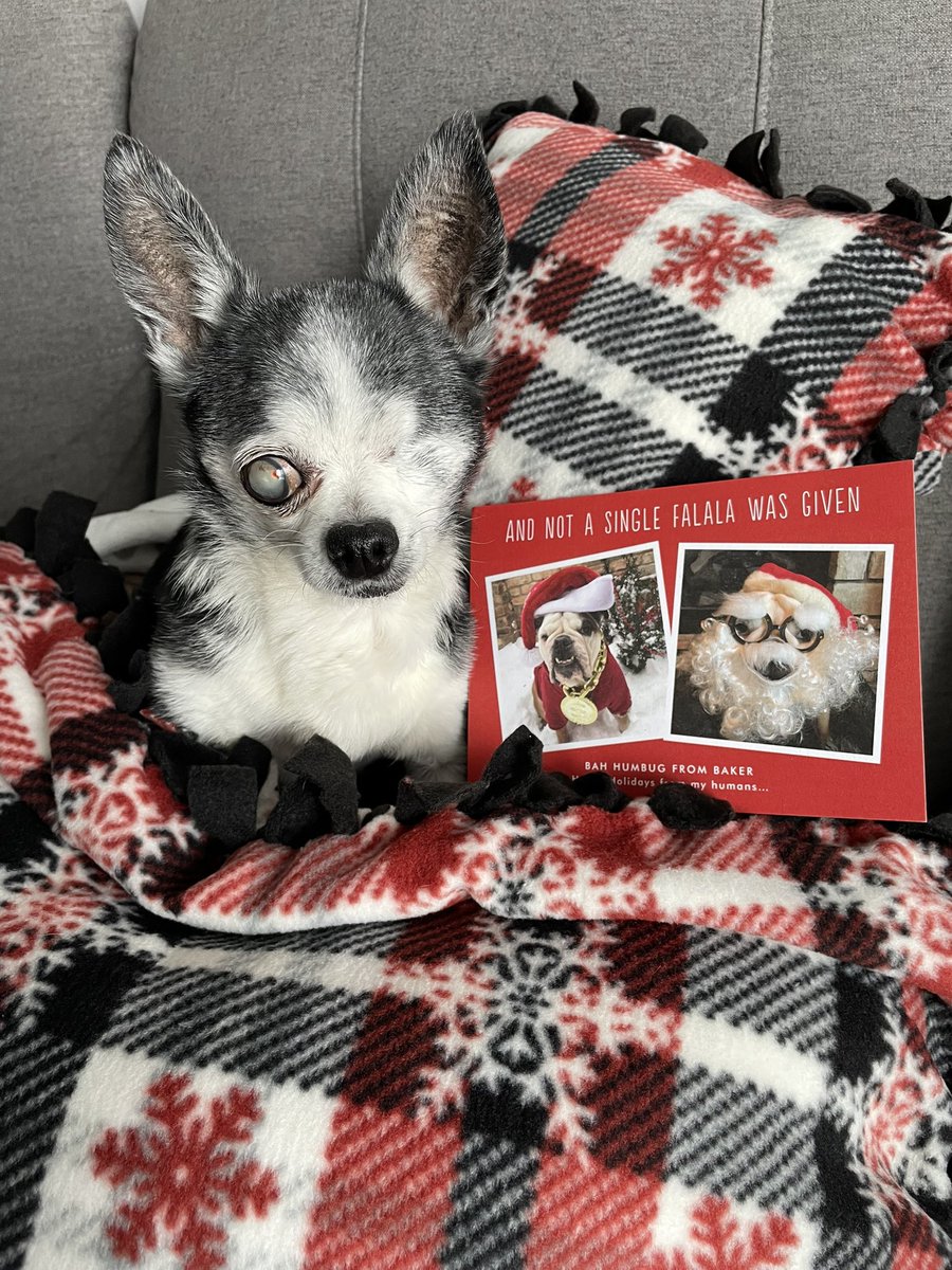 Look what finally arrived Baker <a href="/Lil_Fen/">Baker</a> ❤️ Never too late to receive a Christmas card from my bestie!